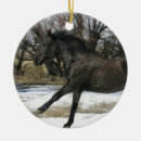 Pesquisar por cavalo mustang de natal decoração Neve