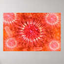 Pesquisar por molecule pôsteres pósteres Medicina