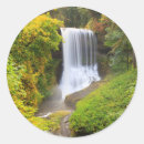 Pesquisar por stats adesivos Colorido