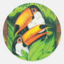 Pesquisar por amazon adesivos Pássaro