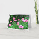 Pesquisar por colored cartoes postais Pink