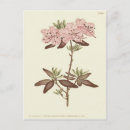 Pesquisar por pontilhado cartoes postais Natureza