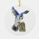 Pesquisar por jay ornamentos Natureza