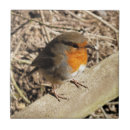 Pesquisar por robin azulejos Pássaro