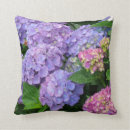 Pesquisar por hydrangea cor de rosa Para ela