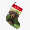 Pesquisar por dachshund meias de natal Feriado