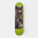 Pesquisar por cavalo selvagem skates Para todos