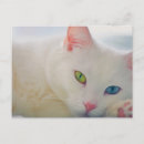 Pesquisar por sorte cartoes postais Animal