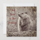 Pesquisar por aniversário masculino cartoes Fofofo