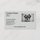 Pesquisar por schnauzer diminuto Animais de estimação