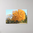 Pesquisar por folhas impressão de canvas Ouro
