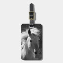 Pesquisar por cavalo ocidental bagagem tags Cavalos