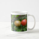 Pesquisar por tomate canecas Frutas