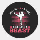 Pesquisar por kickboxing adesivos Artes marciais