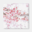 Pesquisar por zen imas Floral