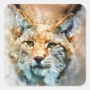 Pesquisar por lince adesivos Animais