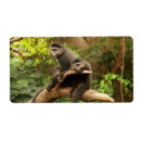 Pesquisar por macaco etiquetas Fundo