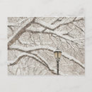 Pesquisar por coberto de neve cartoes postais Eua