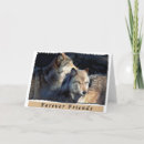 Pesquisar por wild dog Animals