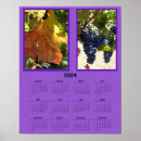 Pesquisar por vinha calendarios Uva