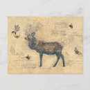 Pesquisar por animais vintage cartoes postais Alce