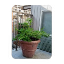 Pesquisar por mulas imas Qualquer pessoa