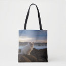 Pesquisar por ragdoll bolsas Felino
