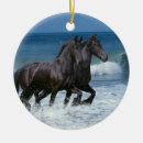 Pesquisar por cavalo de mar ornamentos Equestre