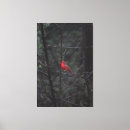Pesquisar por pássaro preto impressão de canvas Qualquer pessoa