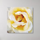 Pesquisar por transparente impressão de canvas Amarelo