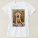 Pesquisar por húngaros camisetas Para ela