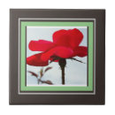 Pesquisar por rosa vermelha azulejos Amor