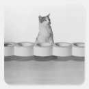 Pesquisar por gato doméstico adesivos Parte do corpo animal