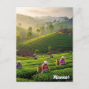 Pesquisar por kerala cartoes postais Viagem