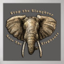 Pesquisar por o elefante pôsteres pósteres Vida selvagem