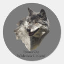 Pesquisar por canil adesivos Animais