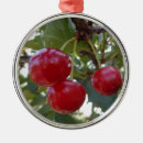 Pesquisar por árvore fruta ornamentos Vermelho