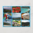 Pesquisar por papagaio colorido cartoes postais Qualquer pessoa