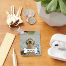 Pesquisar por osso cão chaveiros Para pets