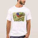 Pesquisar por plumagem camisetas Animal