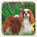 Pesquisar por cavalier porta copos Animal