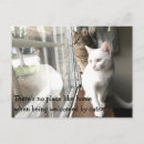 Pesquisar por bigode engraçado cartoes postais Qualquer pessoa