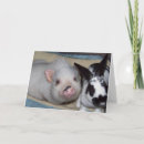 Pesquisar por merchbooth cartoes Pets