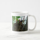 Pesquisar por peito canecas Natureza