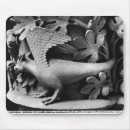 Pesquisar por basilisk Escola
