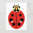 Pesquisar por joaninha cartoes postais Coccinellidae
