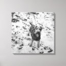 Pesquisar por temperatura fria impressão de canvas Cão