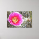 Pesquisar por espinhos impressão de canvas Suculento