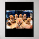 Pesquisar por hamster pósteres Engraçado