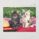 Pesquisar por dois gatinhos cartoes postais Bebês